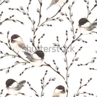 Sticker  Mésanges à tête noire oiseaux, illustration vectorielle sur fond blanc dans un style Aquarelle vintage.