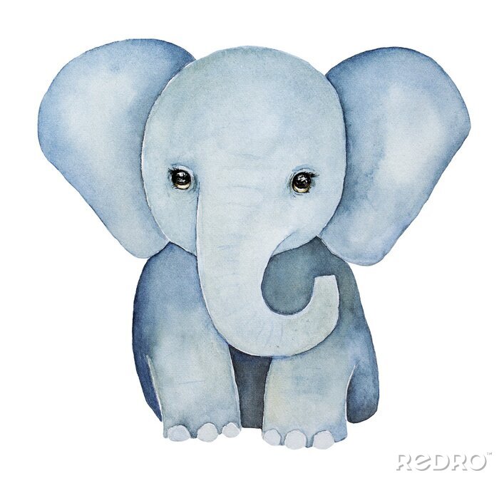 Sticker  Mignon petit, peinture d'éléphant de bébé. Énormes oreilles, beaux yeux, couleurs bleu gris, vue de face. Impression de t-shirt bébé, élément de l'enfance. Illustration de couleur de l'eau dessinée à 