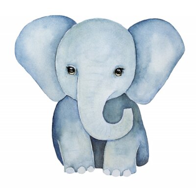 Sticker  Mignon petit, peinture d'éléphant de bébé. Énormes oreilles, beaux yeux, couleurs bleu gris, vue de face. Impression de t-shirt bébé, élément de l'enfance. Illustration de couleur de l'eau dessinée à 