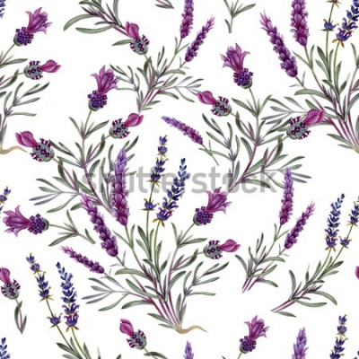 Sticker  Modèle avec lavande sur fond blanc
