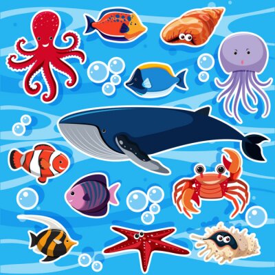 Sticker  Modèle d'autocollant avec de nombreux animaux marins