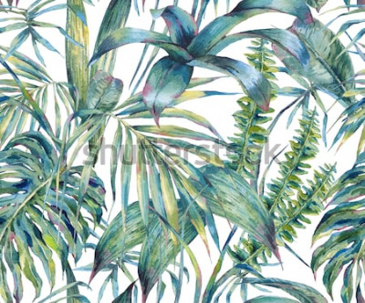 Sticker  Modèle sans couture aquarelle exotique de feuilles naturelles, feuilles tropicales vertes, fougère, jungle dense, Illustration de l'été botanique peinte à la main sur fond blanc