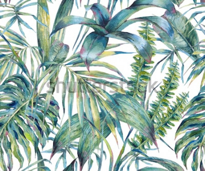 Sticker  Modèle sans couture aquarelle exotique de feuilles naturelles, feuilles tropicales vertes, fougère, jungle dense, Illustration de l'été botanique peinte à la main sur fond blanc