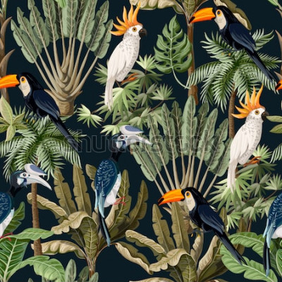 Sticker  Modèle sans couture avec des arbres exotiques et des oiseaux sauvages, des perroquets et des toucans.