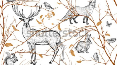 Sticker  Modèle sans couture avec des branches d'arbres, des animaux de la forêt et des oiseaux. Cerf, renard, lièvre, écureuil. Illustration vectorielle dessin naturel pour tissus, textiles, papier, papie
