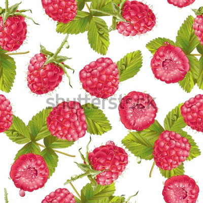 Sticker  Modèle sans couture de framboise de vecteur sur blanc. Design de fond pour les sucreries et les pâtisseries fourrées à la framboise, carte de desserts, produits de soins de santé, cosmétiques naturels