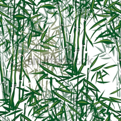 Sticker  modèle sans couture de vecteur de bambou tropical sur fond blanc ..