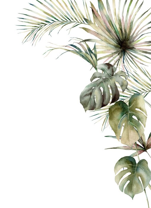 Sticker  Monstera et feuilles de palmier