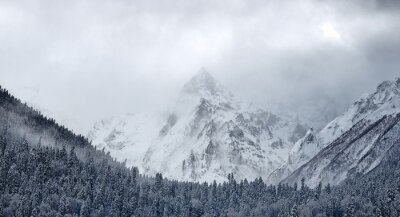 Montagnes et nature en hiver