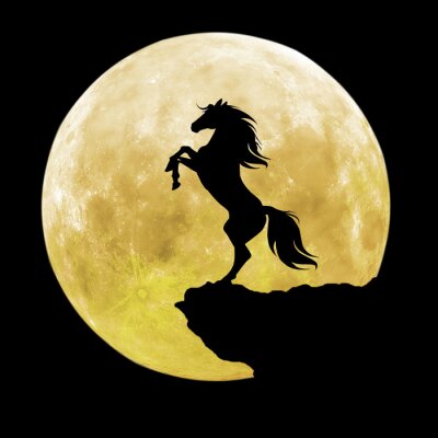 Sticker  Montez dans le contexte de la pleine lune