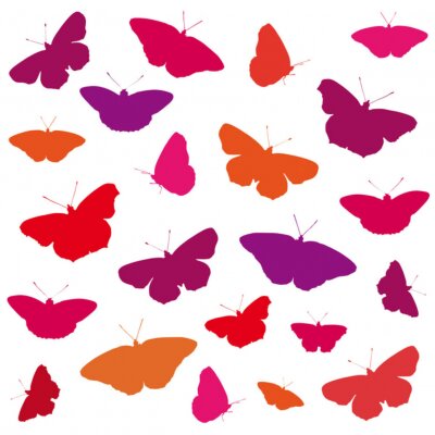 Motif avec des papillons colorés