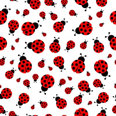 Sticker  Motif coccinelles rouges sur fond blanc