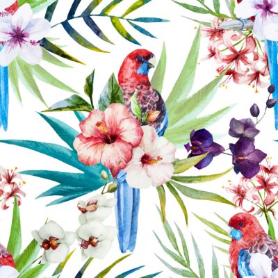 Papier peint à motif  Motif de l'oiseau Rosella