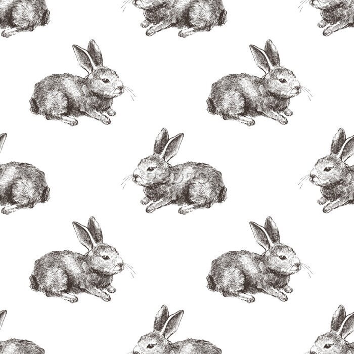 Sticker  Motif de style vintage avec des lapins
