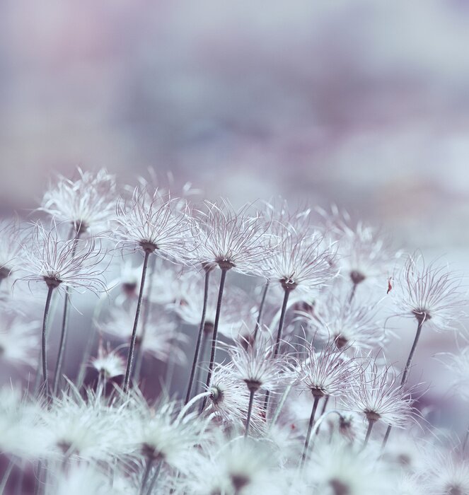 Sticker  Motif rétro avec des fleurs