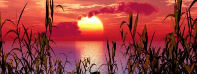 Nature au lever du soleil