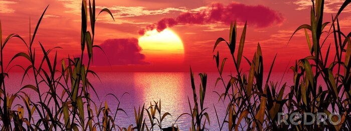 Sticker  Nature au lever du soleil