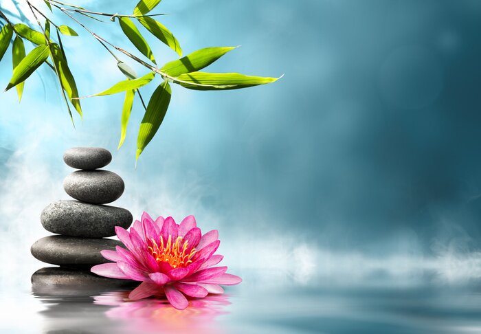 Sticker  Nature avec pierres et nénuphar