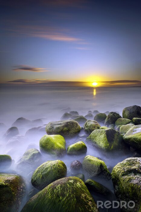 Sticker  Nature côtière avec brouillard