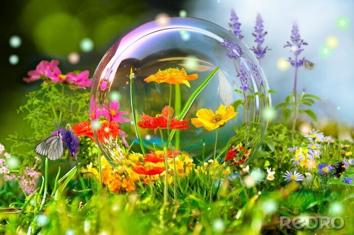 Sticker  Nature et paysages d'une prairie colorée