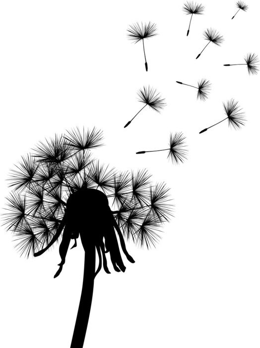 Sticker  noir pissenlit