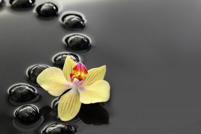 Noir Zen pierres et des orchidées sur fond d'eau calme