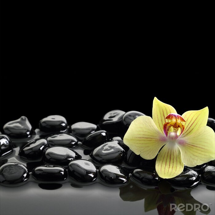 Sticker  Noir Zen pierres et des orchidées sur fond d'eau calme
