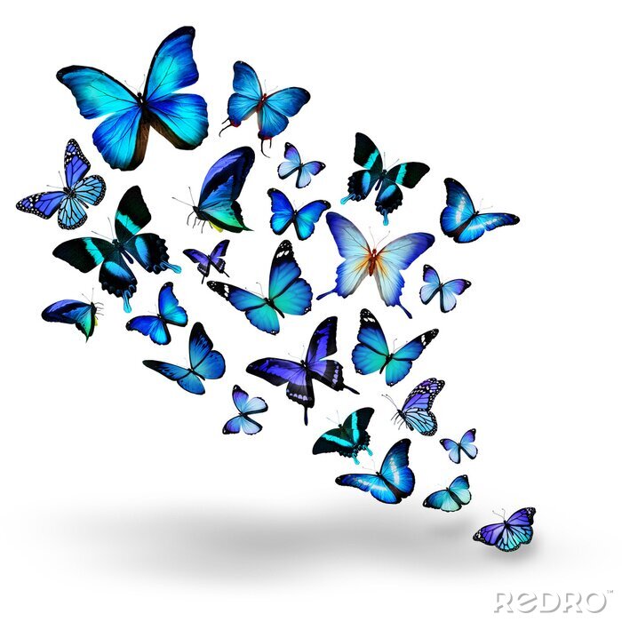 Sticker  Nuée de petits papillons bleus