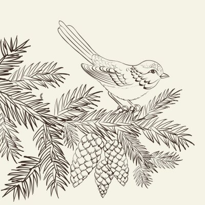 Sticker  Oiseau assis sur un pin