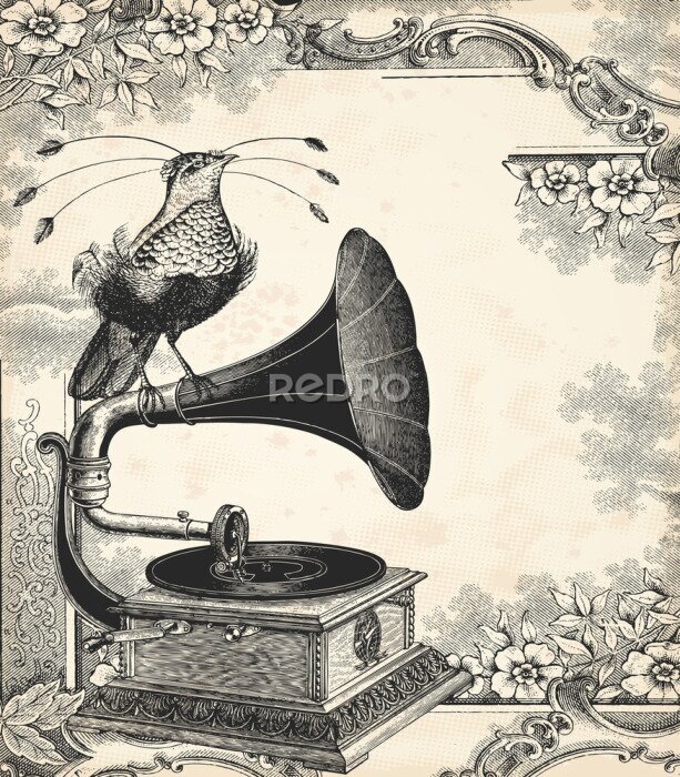 Sticker  Oiseau de paradis et gramophone