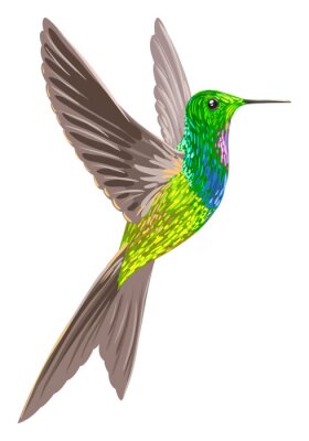 Sticker  Oiseau peint à l'aquarelle