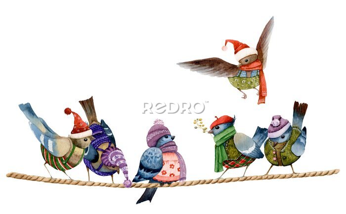 Sticker  Oiseaux d'hiver en chapeaux