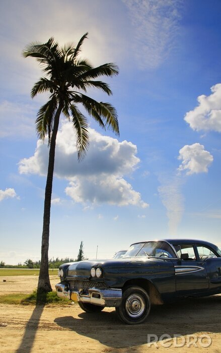 Sticker  Oldtimer Tropical