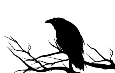 Sticker  ominous raven sitting on a bare tree branch - black crow bird halloween theme vector silhouette design