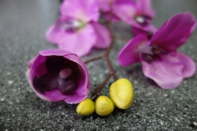 Sticker  Orchidée avec des bourgeons sur une pierre