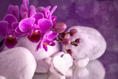 Orchidée parmi les pierres et les coeurs