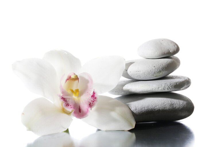 Sticker  Orchidée, pierres grises