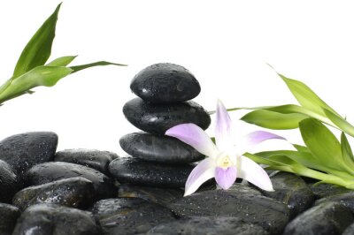 Sticker  Oriental Spa - orchidée rose, tige de bambou dans les gouttes d'eau