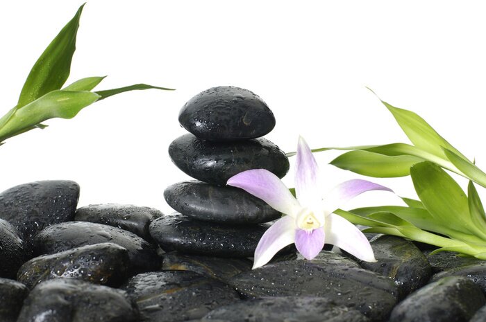 Sticker  Oriental Spa - orchidée rose, tige de bambou dans les gouttes d'eau