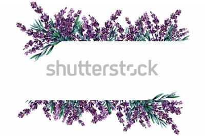 Sticker  Ornement de lavande