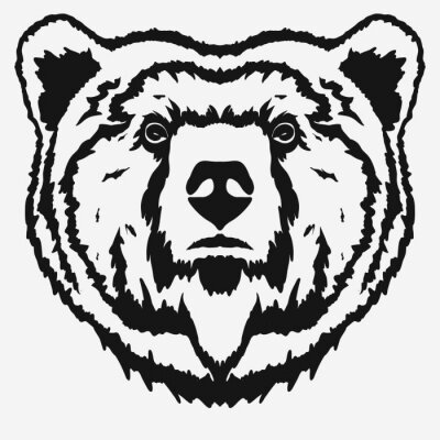 Sticker  Ours, tête, dessin animé, vecteur