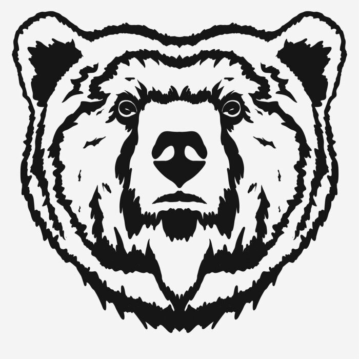 Sticker  Ours, tête, dessin animé, vecteur