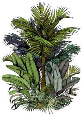 Palmier et feuilles tels que peints