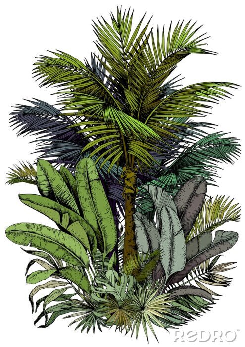 Sticker  Palmier et feuilles tels que peints