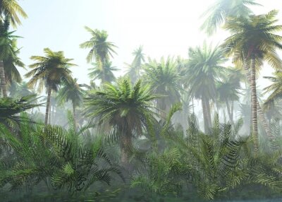 Palmiers dans la brume