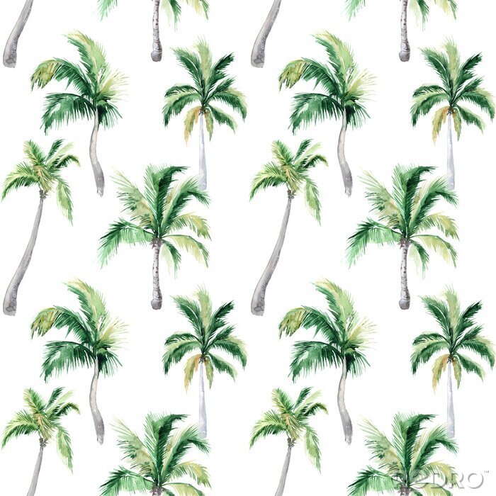 Sticker  Palmiers délicats sur fond blanc