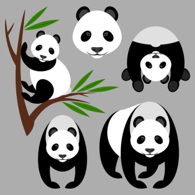 Sticker  Panda