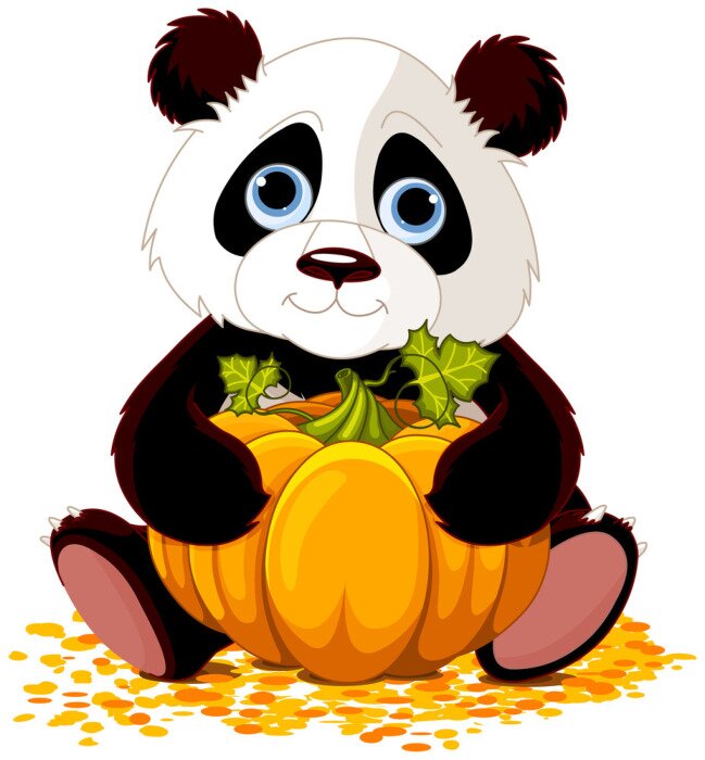 Sticker  Panda assis avec une courge