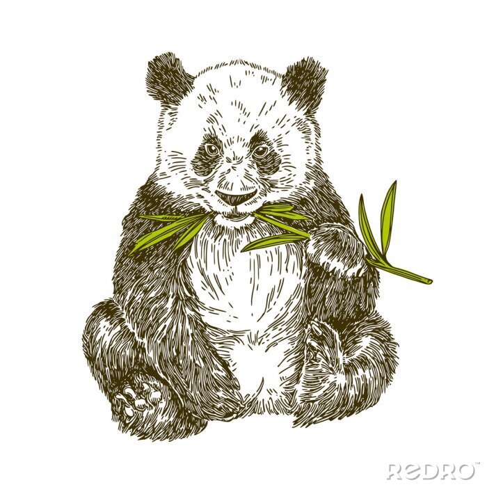 Sticker  Panda avec bambou à la tige. Illustration vectorielle
