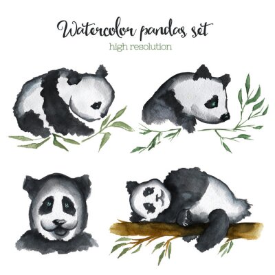 Pandas peints à l'aquarelle